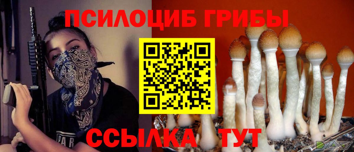 Галлюциногенные грибы мицелий Альметьевск