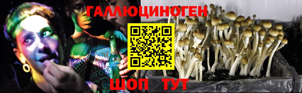 Галлюциногенные грибы мицелий  Вход с VPN  Альметьевск 