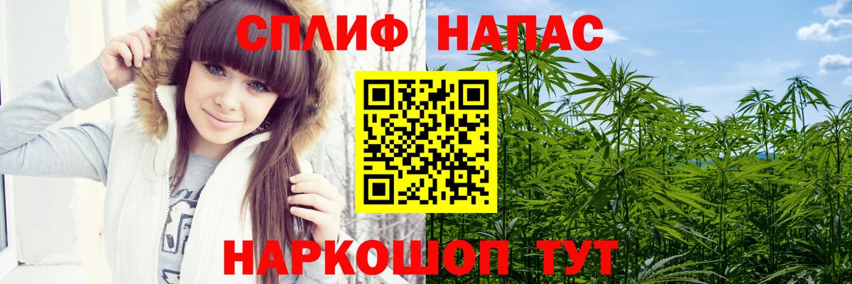 Шишки марихуана планчик  Бошки Шишки план  Вход с VPN  Альметьевск 